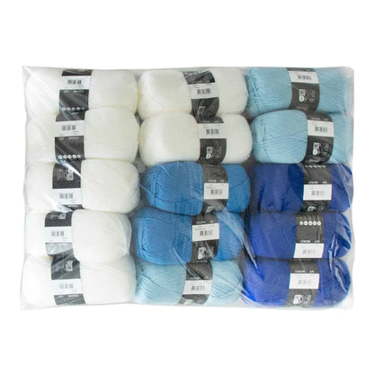 Scheepjes CAL2025 Universe in Bloom Kit Colour Crafter - Delft