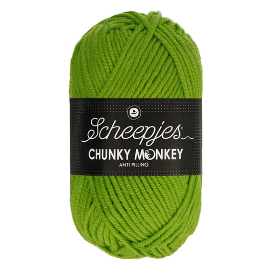 Scheepjes Chunky Monkey - 2016 Fern